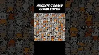 НАЙДИТЕ 🐶 СОБАКУ #shorts #викторина #games
