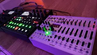 Syntakt and Metropolix having a party 🪩