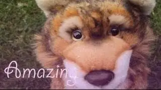 ~му σριηιση ση тнє ηєω ∂є¢ємвєя ѕιgηαтυяє!~