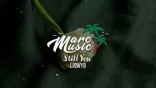 LIQWYD - Still You (No Copyright Music)