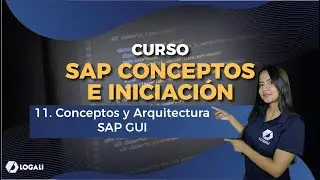 SAP Course Concepts and Getting Started - 11. SAP GUI Concepts and Architecture