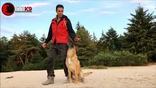 ULTRA OFF LEASH COMBO