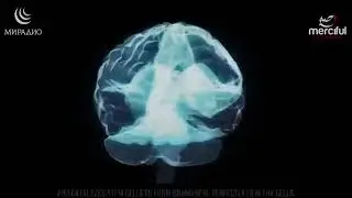 Пост в месяц Рамадан и его польза. Научная точка зрения.