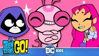 ¡Lo mejor de Silkie! 🐛 | Teen Titans Go! en Latino 🇲🇽🇦🇷🇨🇴🇵🇪🇻🇪 | 