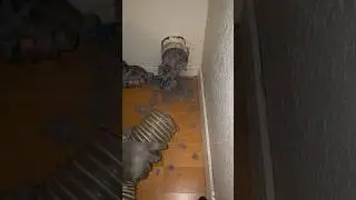 We extracted 28 years of Lint out of this Dryer Vent! 
