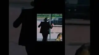 Пёс смешные моменты 