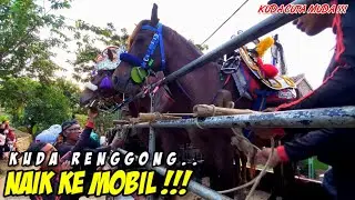MENAIKAN KUDA RENGGONG CUTA MUDA KE ATAS MOBIL