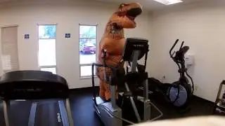 T-Rex's working out