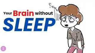 Everything about sleep deprivation