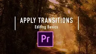 Applying Transitions in Premiere | Editing Basics | Adobe Premiere Pro 2021