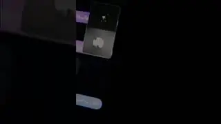 ويف جحيم الاماراتي ينبح
