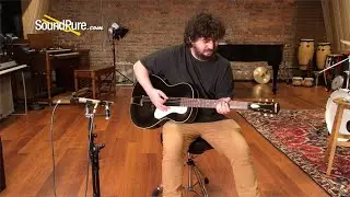 Waterloo WL-AT Archtop