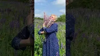Я в море...в море люпинов!!!