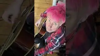 Alert - Location 13 (Vonoben Spot 2) #cat  #kitty #music #guitar #funny #newmusic #acousticguitar