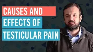Effects and Causes of Testicular Pain