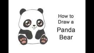 How to Draw a Panda Bear (Cartoon)