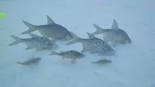 Кто куда а я на Рузское ВДХР! Рыбалка с друзьями!
