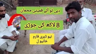 Kashif Dubi wlla Wazat Now Neela brand  diry frame form khahnawal pakistan /@neela brand 74