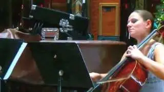 Classical Music in the Cruise Ship Lobby: J.Haydn -  Divertimento in B flat , 2 mov. Menuet