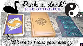 Pick a Deck: LIFE GUIDANCE  ☥ Where to focus your energy