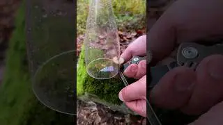 Survival Skills Lifehaks: A great IDEA of WOOD and PLASTIC in the Wild. 