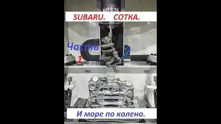 Subaru. Сотка. И море по колено !