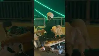 Мопедист с четырьмя лапами 