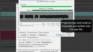 ReaComposer Tutorial 5  -  Making an simple audio phrase (REAPER)