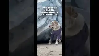 Когда чуть-чуть увлеклась с выбором нарядов 😅