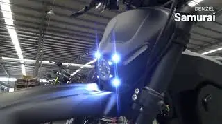 Powerful Electric Carbon Fiber bike Denzel Samurai