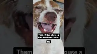 I'll buy when rates go down
