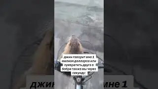 кто бы так не сделал? #жиза#жизнь#бобёр#плотина#цэбобр