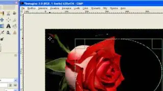 GIMP #11 [ITA] - Gli strumenti di selezione ellittica e a mano libera