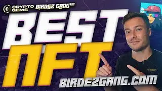 Best NFT | Birdez Genesis NFT | Best NFTs 2022