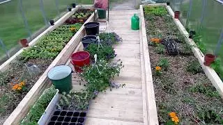 Siltnamio vlogas 2 Greenhouse vlog 2 Geles vazonuose Planting flower containers