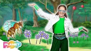 🐸 Animals At The Park Song | ESL Kids Songs | English For Kids | Planet Pop | Learn English