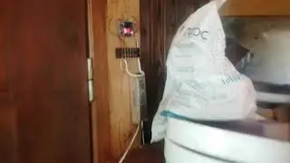 автоматический полив