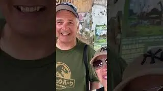 4 Parks our Little vlog 😝 #universalstudios #disneyanimalkingdom #islandsofadventure #shorts