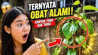 MOUTH PROBLEMS? THIS LEAF COULD BE A NATURAL SOLUTION!