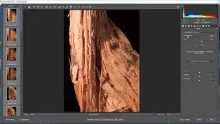 Batch Exporting JPEGs from Raw Files Using Adobe Camera Raw Plugin