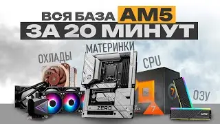 The best hardware for building a PC on the AM5 socket in 2026