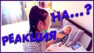 VLOG#KOREA : РЕАКЦИЯ?! ЧТО-ТО ПОШЛО НЕ ТАК?!ПЕРВЫЙ ПРИКОРМ!!