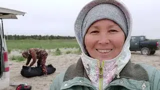 Наши удочки трещат. Рыбалка в Охотском море.