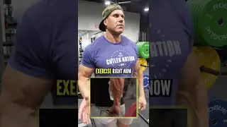 How to build HUGE forearms 💪