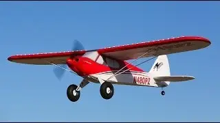 Sport Cub BNF with AS3X® Technology by ParkZone