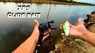 CHEAPEST GLIDE BAIT!🔥(Bass Pro XPS Glide Bait)