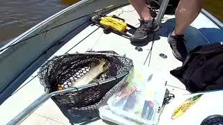 Fishing with Joe, episode 10