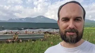 1000 кур на пастбище - что они делают с травой плюс перемещение курятника