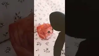 поехали в Кострому