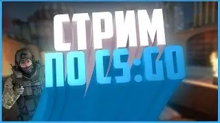 Стрим по кс го 2x2 (напарники)
